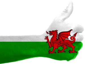 job search in Wales